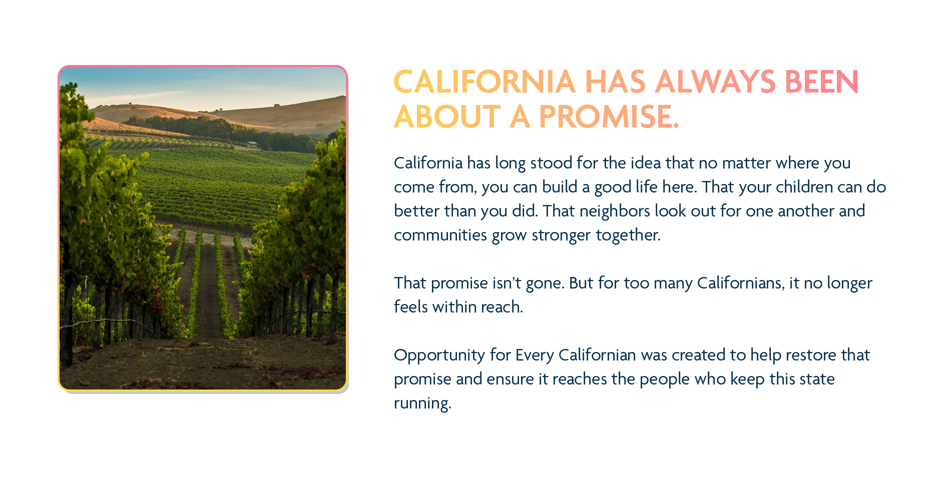 California vineyard landscape alongside the promise section text